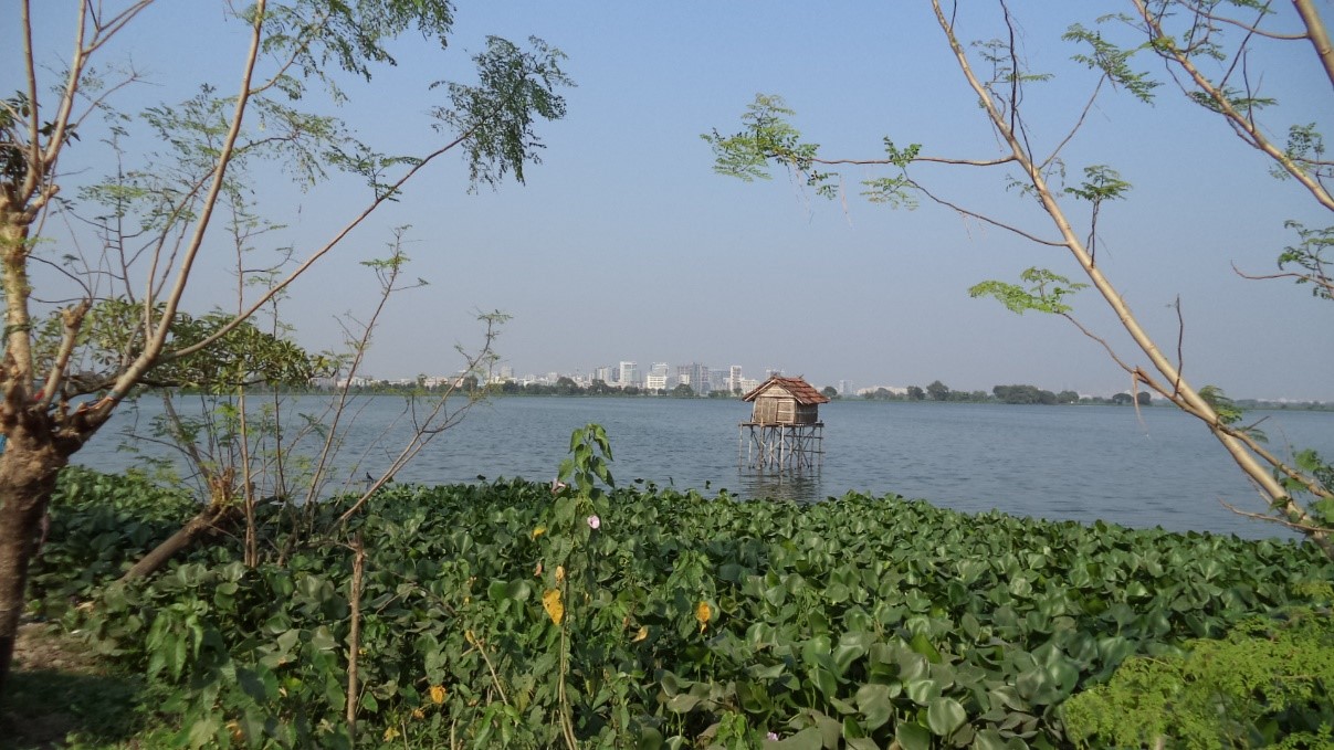 image of leafy wetland shoreline and body of water with city in distant background, from MetaMeta of GOPA Group, provided to GOPA Group US